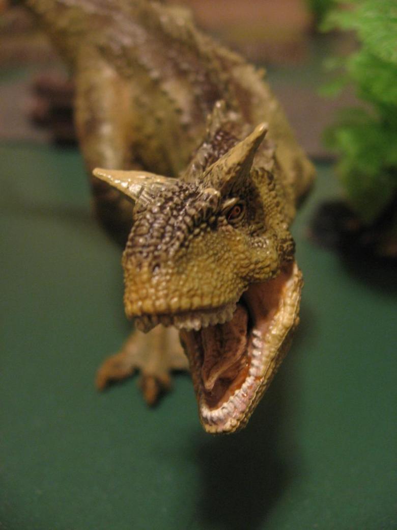 DC-Fight-for-Flaming-Gorge-0024