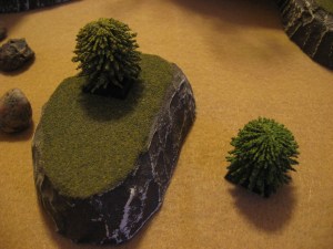 DC-Interior-Cacti-Trees-0021