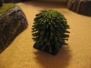 DC-Interior-Cacti-Trees-0022