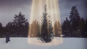 Christmas-Vacation-Tree